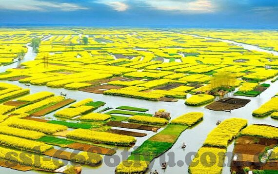 澳门赌场吃喝-澳门赌场，一场奢华的吃喝玩乐体验