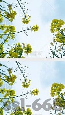 日乙足球比分-深度剖析日乙足球比分，数据背后的战术博弈与联赛格局