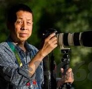 在线足球比分-在线足球比分，数字时代的绿茵场心跳实时监测仪